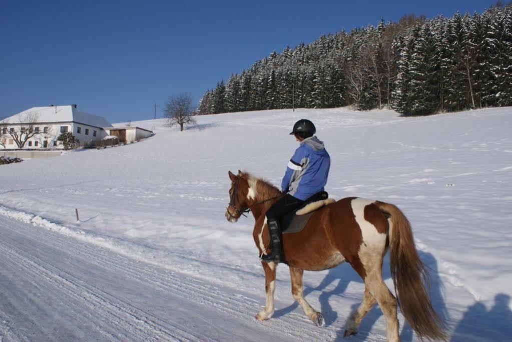 Gasthof 'Zum Alten Turm' Haslach an der Mühl Екстериор снимка