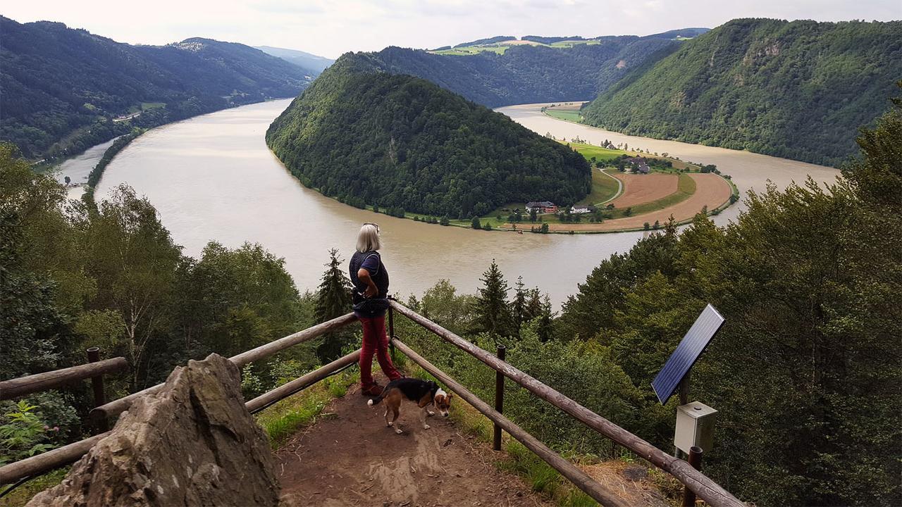 Gasthof 'Zum Alten Turm' Haslach an der Mühl Екстериор снимка
